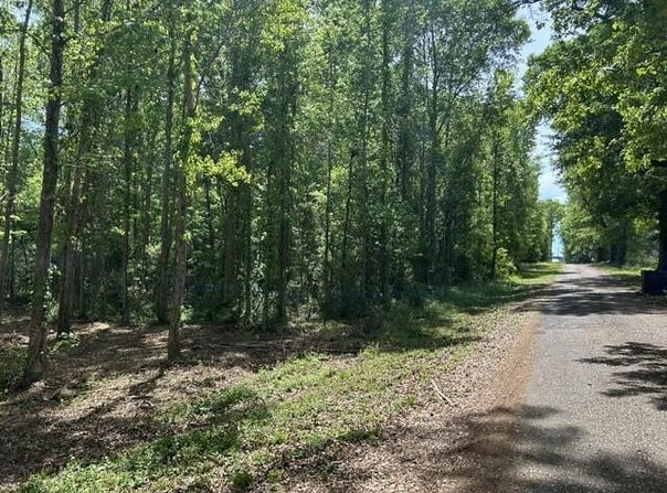 Parcel 4 Stovall Ln, Summit, MS 39666