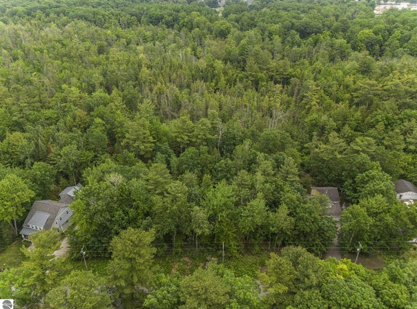 00 Deepwater Point Road, Williamsburg, MI 49690