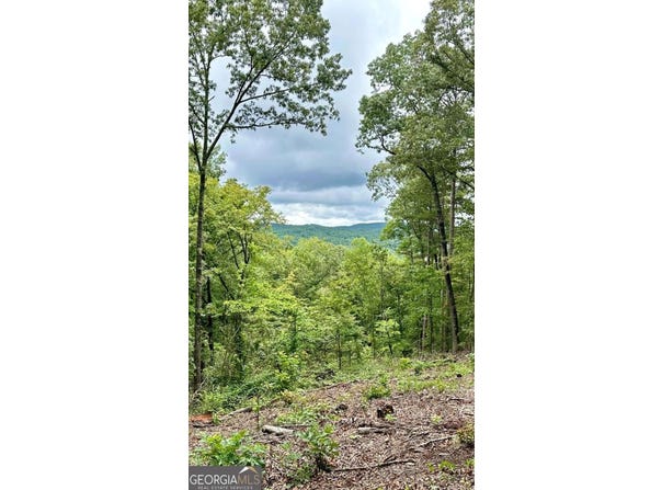 Lot 314 Pebble, Talking Rock, GA 30175