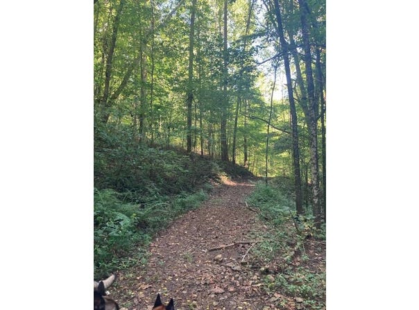 Goose Creek Road, Burkesville, KY 42717
