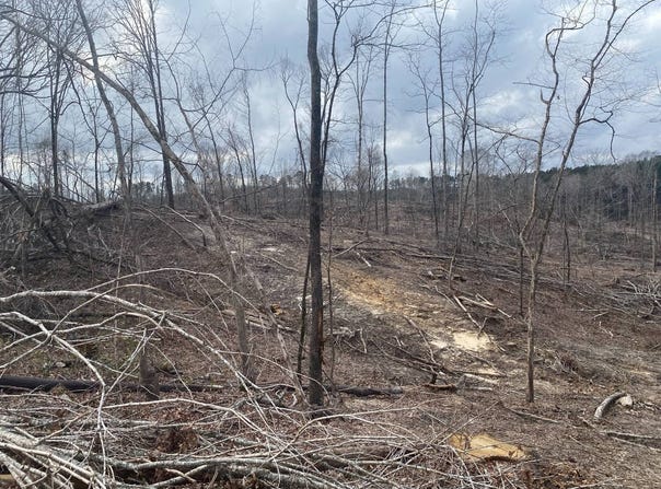 Hines Road, Camden, MS 39045