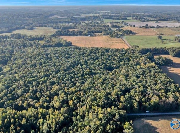 20 Acres Little Coffman Road, Lester, AL 35647