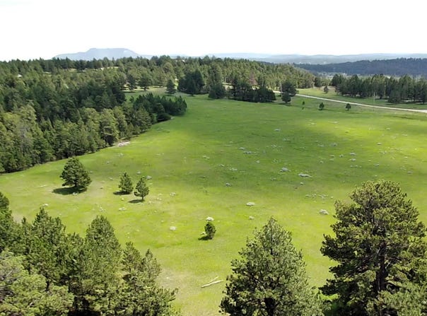 TBD Colt Trail, Sundance, WY 82729
