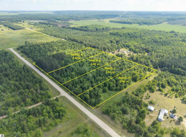 B TUCKER ROAD, ELMIRA, MI 49730