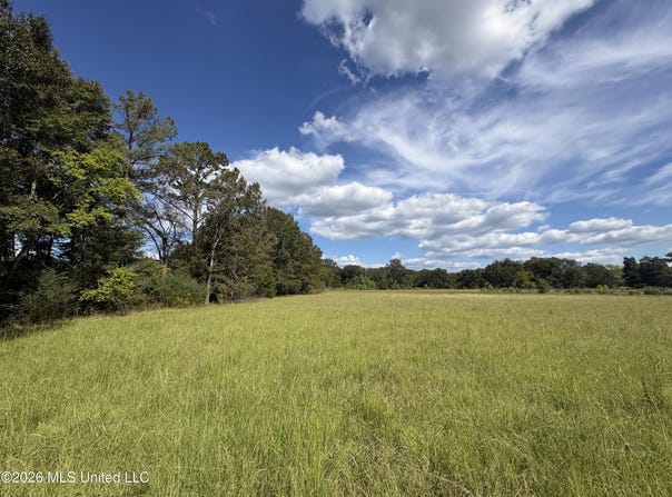 Sharon Road, Canton, MS 39046