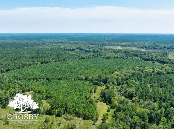 TBD Jabez Poyner Road, Carlton, GA 30627