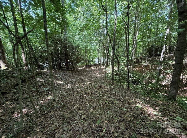 25 Fairview Pointe Drive, Fairview, NC 28730