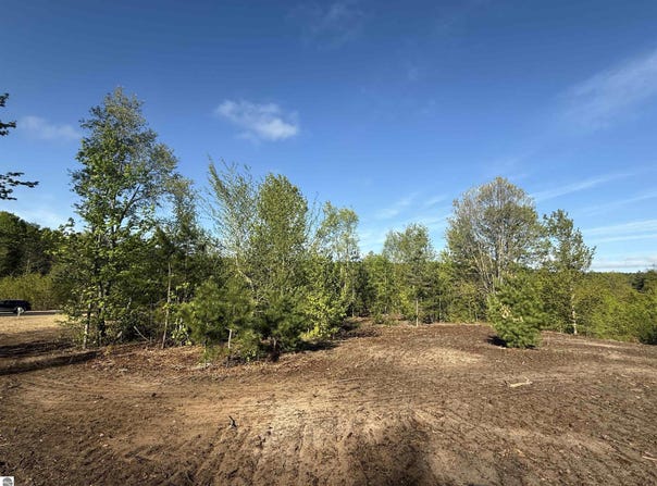 1029 E Solaris Way, Maple City, MI 49664