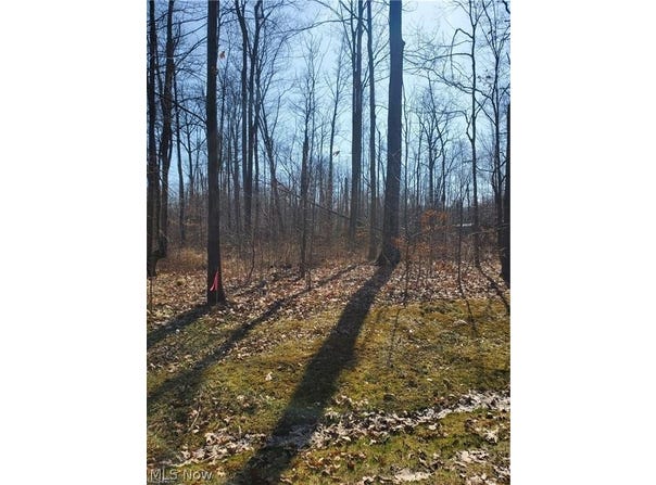 2025 Coriander Drive, West Salem, OH 44287