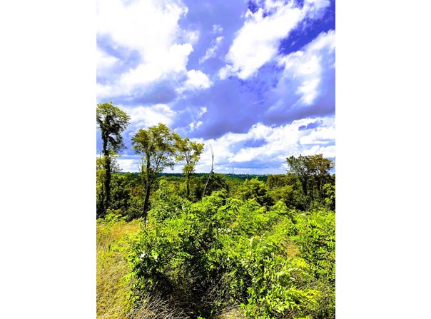 5 Ac Oak Ridge Road, Williamstown, KY 41097