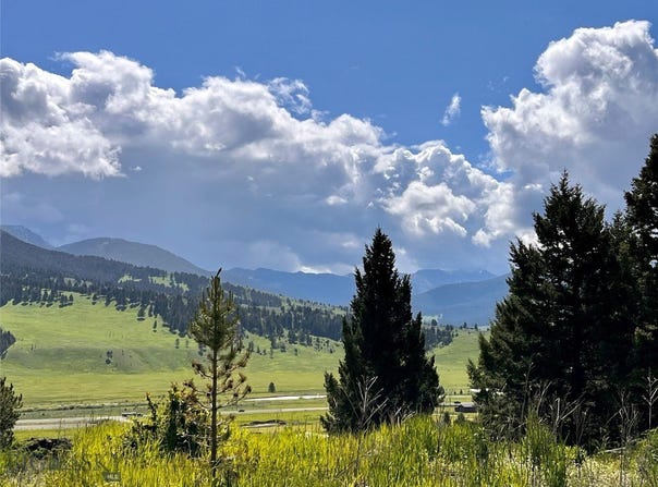 Riverview Lane lot: 2, Gallatin Gateway, MT 59730