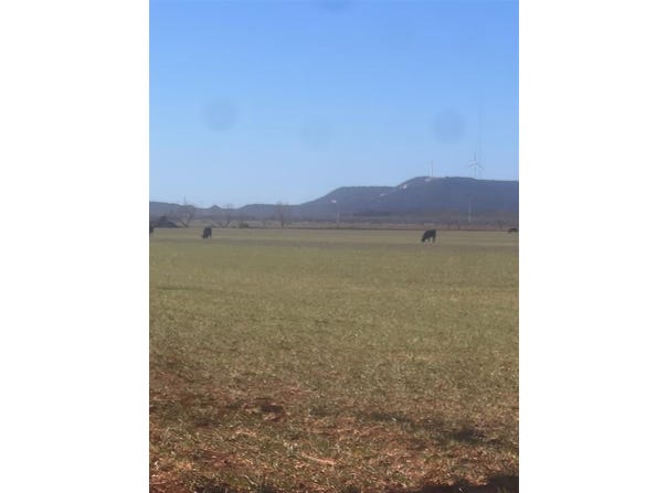 Tbd County Road 365, Trent, TX 79561
