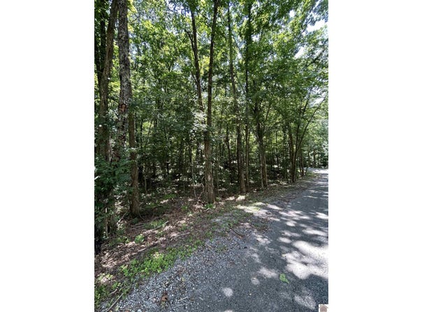 000 Cedar Lane, Canton, KY 42211