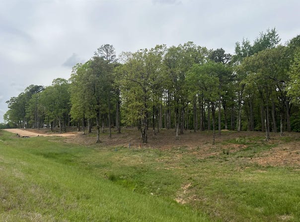 Tract 1 Hwy 412 W, Paragould, AR 72450