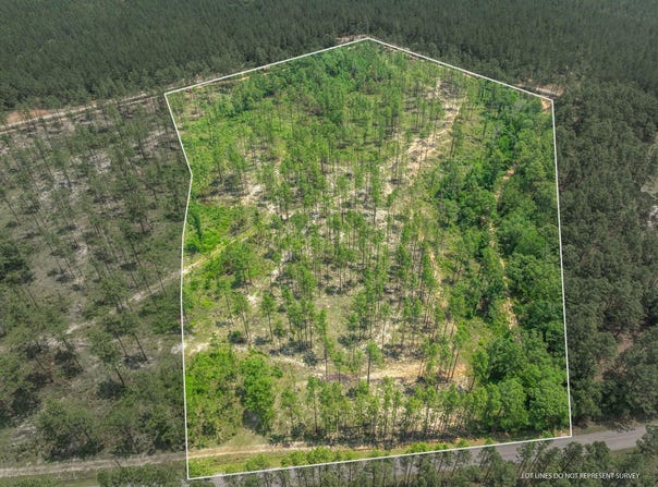 15.84 Acre Crown Zellerback Rd., Lumberton, MS 39455
