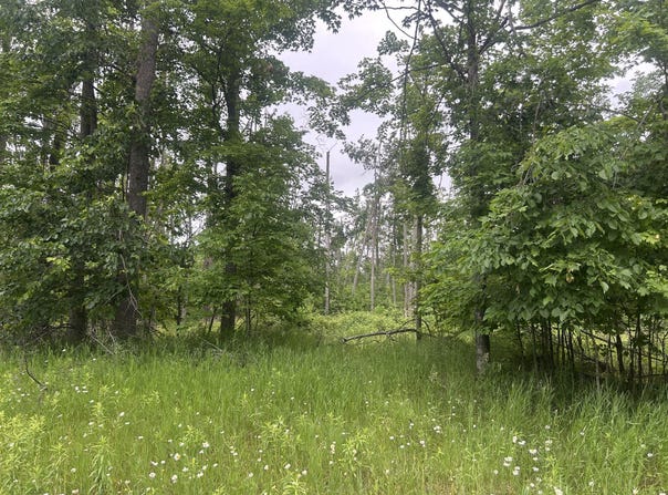 V/L Wheeler Road, Johannesburg, MI 49751
