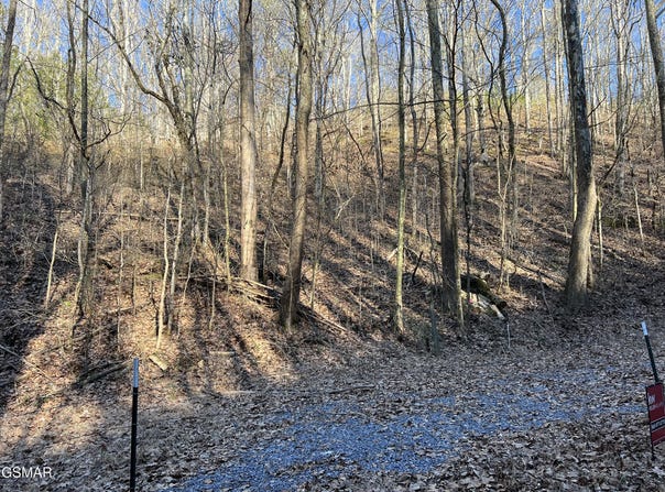 Lot 1 Indian Gap Road, Sevierville, TN 37876