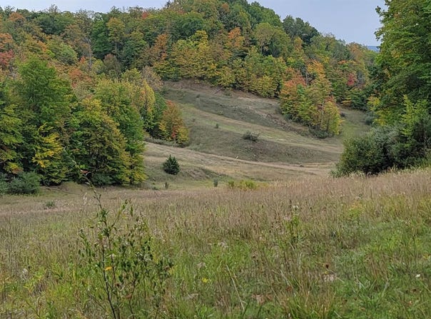 Lot A N Crossover Drive, Bellaire, MI 49615