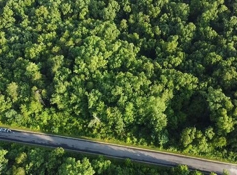 Lot 5 Woodland Creek Drive, Dandridge, TN 37725