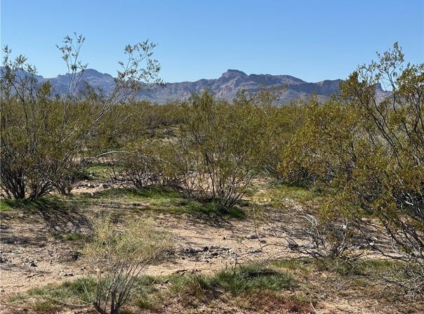 11074 Laguna Trail, Golden Valley, AZ 86413