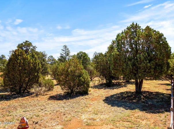 3327 Sawmill Ridge Loop, Heber, AZ 85928