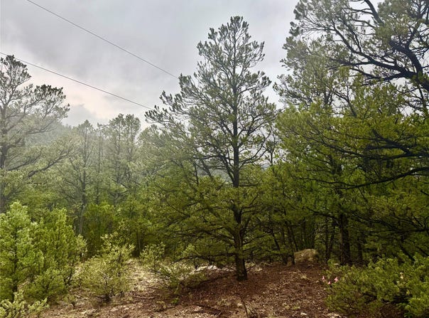 1 Acre Highway 63, Pecos, NM 87552