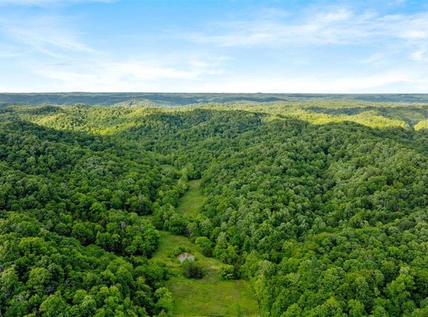 0 Black Branch Road, Burkesville, KY 42717