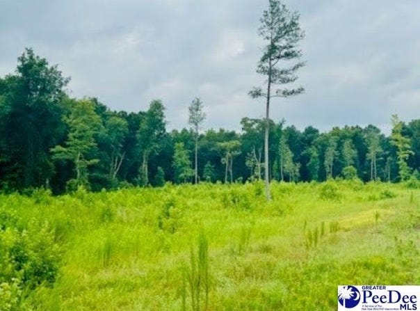 0000 Santa Anita Rd (4.61+/-), cheraw, SC 29520