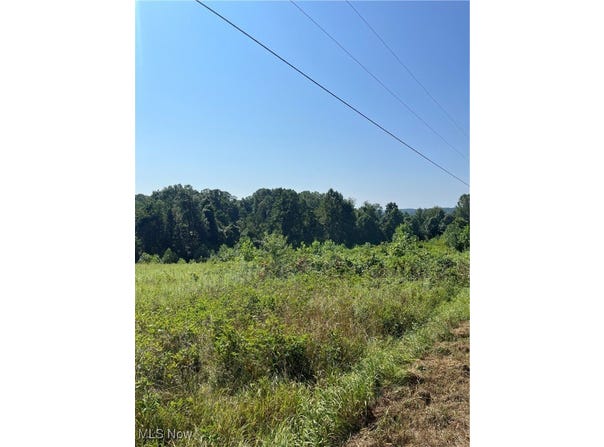 Timber Road, Bergholz, OH 43908
