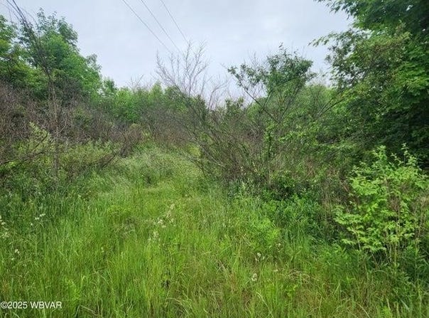 0 Burlington Turnpike, Towanda, PA 18848