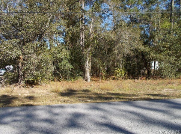 1401 E BISMARK Street, Hernando, FL 34442