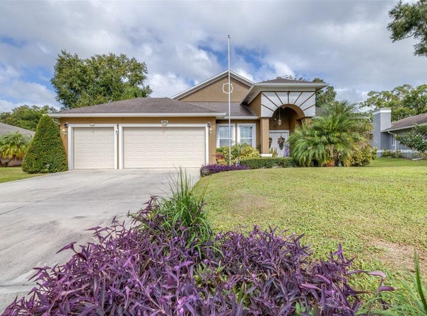 3949 LAKE JOYCE Drive, LAND O LAKES, FL 34639