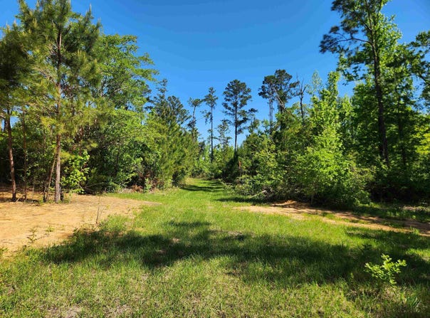 19265 SE Wrennie Moody, Blountstown, FL 32424