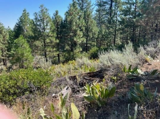 002 Ash Valley, Adin, CA 96006