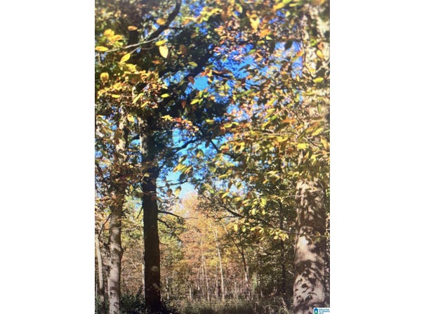 MARKLUND ROAD lot: 0, EMPIRE, AL 35063