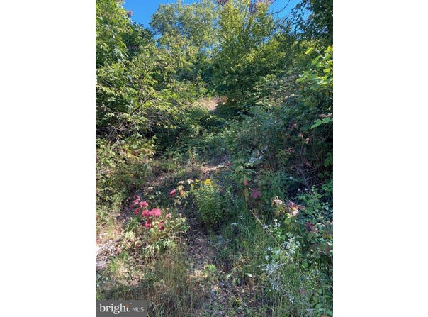951 BOBCAT TRAIL, WINCHESTER, VA 22602