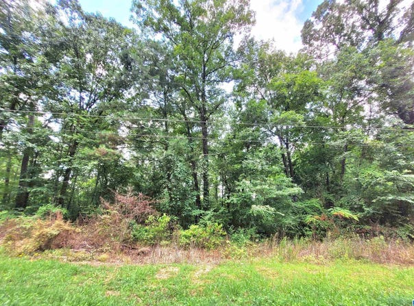 000 BRYAN STREET, TALLADEGA, AL 35160