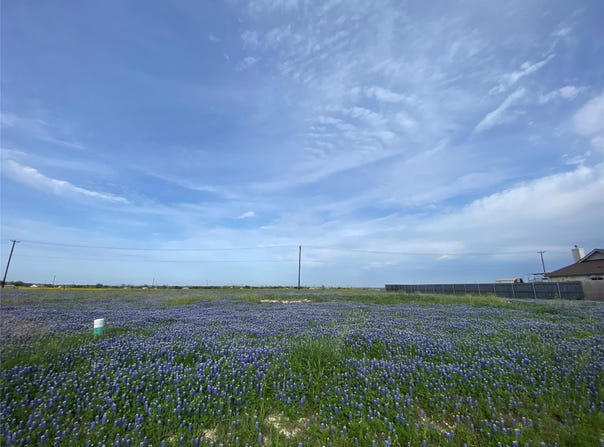 360 Meadow Valley LOOP, Jarrell, TX 76537