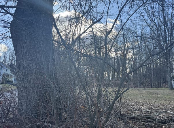 149 Upper Powderly Street, Carbondale, PA 18407