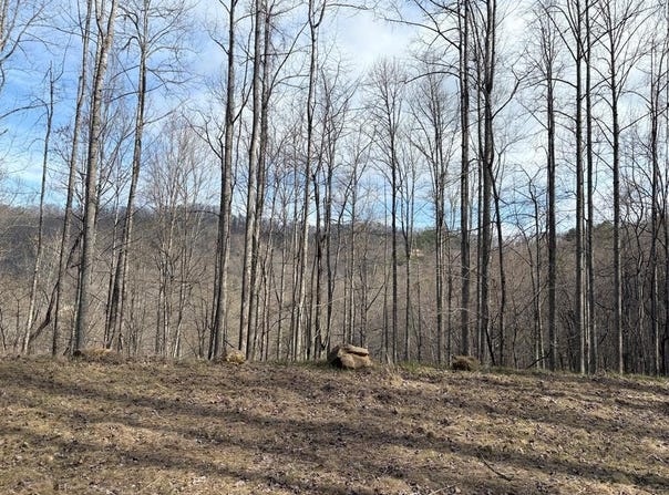 269 Flowering Ridge, Whittier, NC 28789