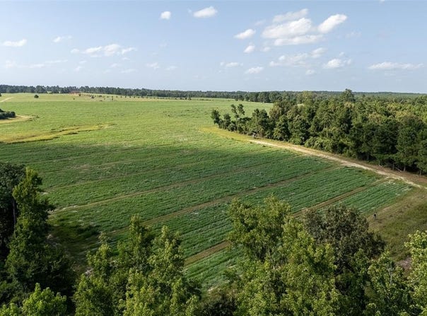 00 County Road 2180, Grapeland, TX 75844