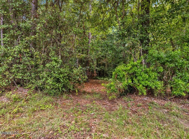 Carnation Street, Kiln, MS 39556