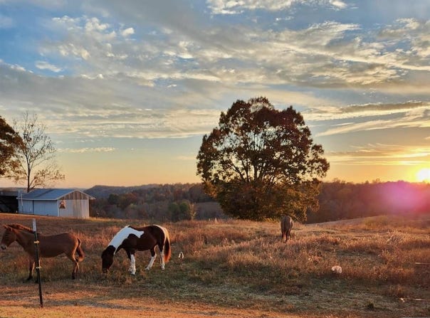00 Casey Creek Road, Columbia, KY 42728