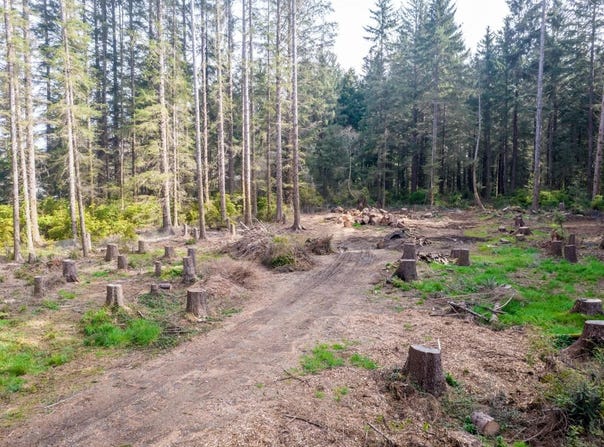 800 Gale Way, Crescent City, CA 95531