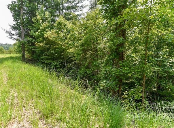 The Vines Boulevard lot: 12, Marshall, NC 28753