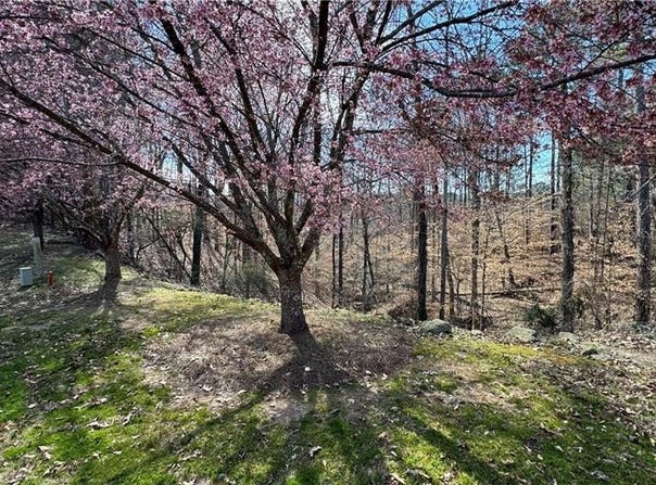 5213 Prestley Crossing Lane, Douglasville, GA 30135