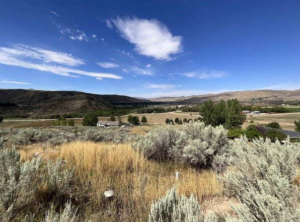 Pidcock, Inkom, ID 83245