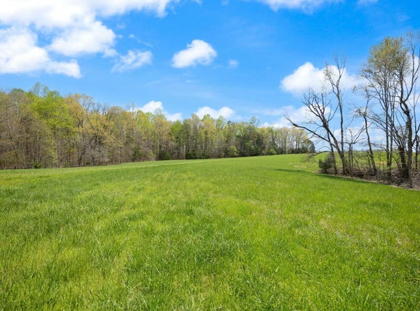 000 Martha Stockton Road, Albany, KY 42602