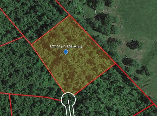 124 WILDFLOWER LANE, BRAGG, WV 25918