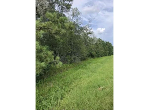3135 FM 2246, Buna, TX 77612